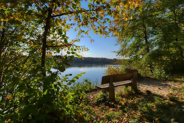 终于找到了 终于找到了