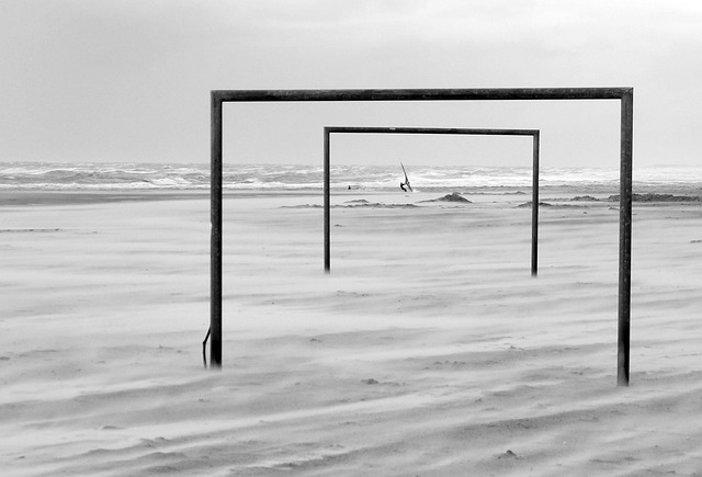 却出乎意料 却出乎意料