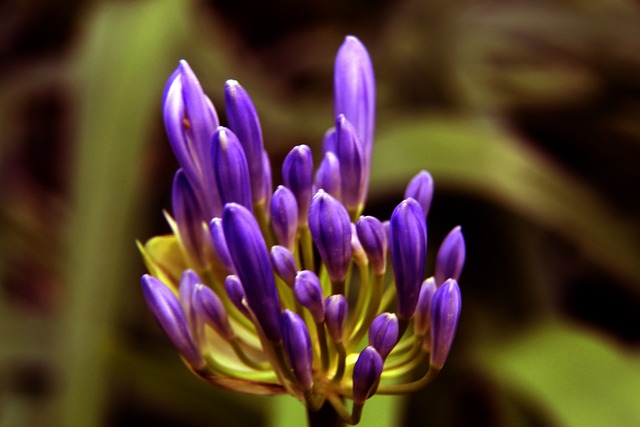 胜利提前规 胜利提前规