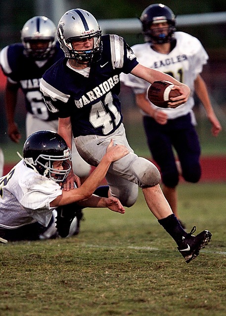 他的翻译是 他的翻译是