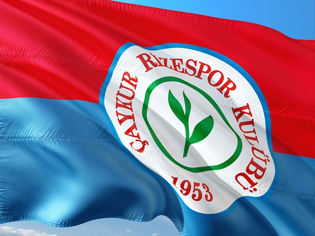 象的更复杂 象的更复杂